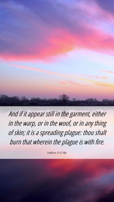 Picture 06 - Leviticus 13:57 KJV Mobile Phone Wallpaper - And if it appear still in the garment, either in - Mobile Bible Verse Wallpaper