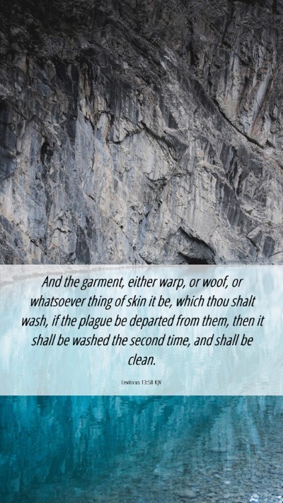 Picture 06 - Leviticus 13:58 KJV Mobile Phone Wallpaper - And the garment, either warp, or woof, or - Mobile Bible Verse Wallpaper