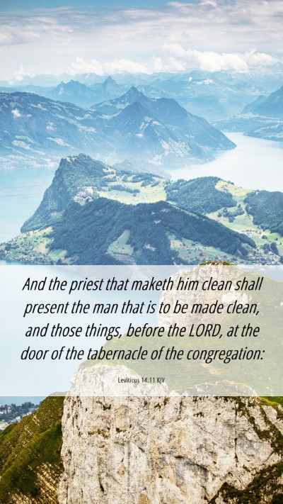 Picture 06 - Leviticus 14:11 KJV Mobile Phone Wallpaper - And the priest that maketh him clean shall - Mobile Bible Verse Wallpaper