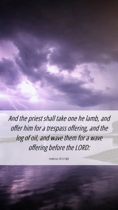 Picture 06 - Leviticus 14:12 KJV Mobile Phone Wallpaper - And the priest shall take one he lamb, and offer - Mobile Bible Verse Wallpaper