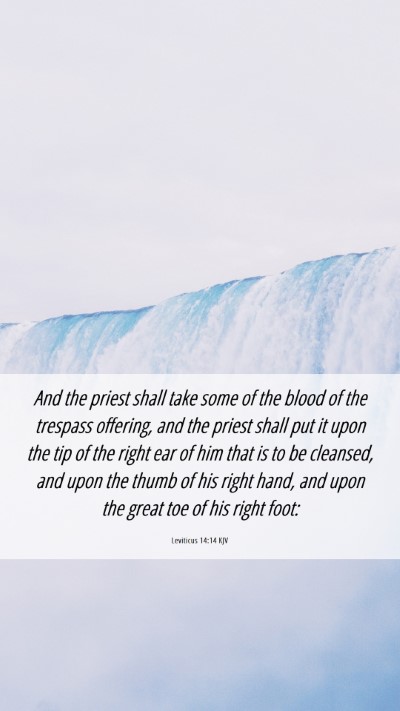 Picture 06 - Leviticus 14:14 KJV Mobile Phone Wallpaper - And the priest shall take some of the blood of - Mobile Bible Verse Wallpaper