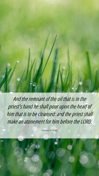 Picture 06 - Leviticus 14:18 KJV Mobile Phone Wallpaper - And the remnant of the oil that is in the - Mobile Bible Verse Wallpaper