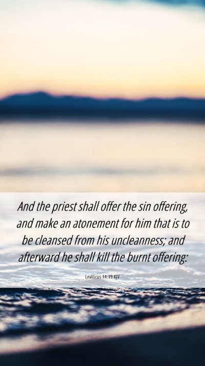 Picture 06 - Leviticus 14:19 KJV Mobile Phone Wallpaper - And the priest shall offer the sin offering, and - Mobile Bible Verse Wallpaper
