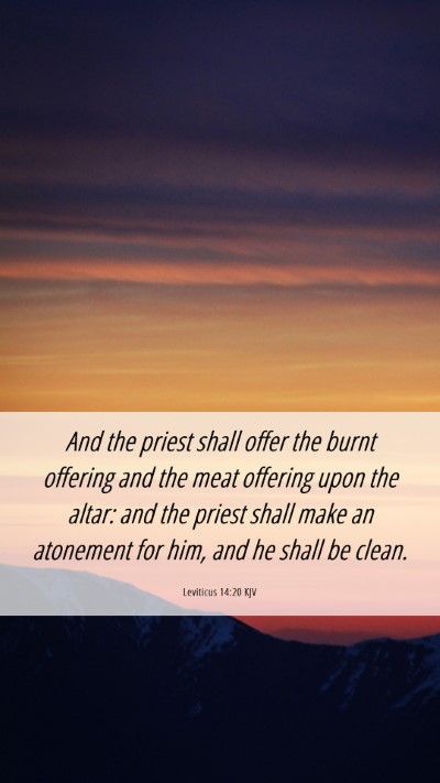 Picture 06 - Leviticus 14:20 KJV Mobile Phone Wallpaper - And the priest shall offer the burnt offering and - Mobile Bible Verse Wallpaper