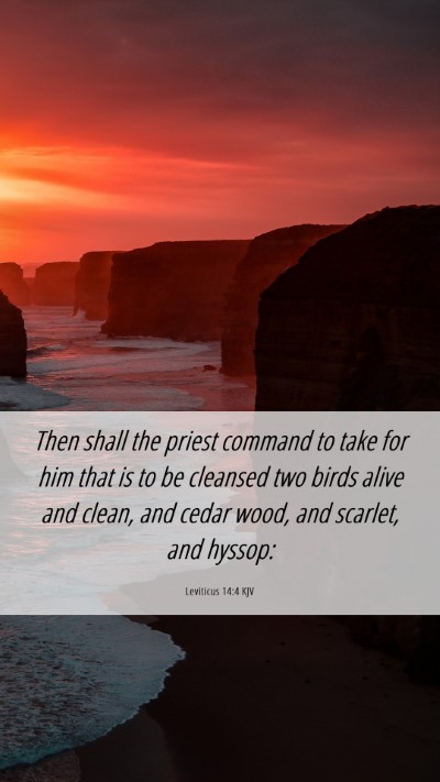 Picture 06 - Leviticus 14:4 KJV Mobile Phone Wallpaper - Then shall the priest command to take for him - Mobile Bible Verse Wallpaper