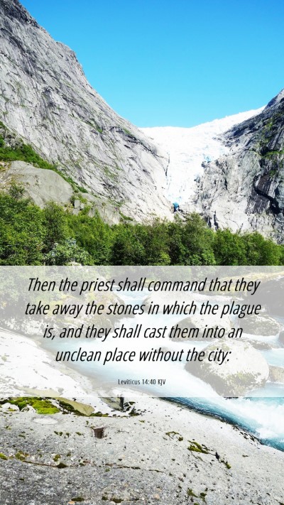 Picture 06 - Leviticus 14:40 KJV Mobile Phone Wallpaper - Then the priest shall command that they take away - Mobile Bible Verse Wallpaper