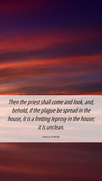 Picture 06 - Leviticus 14:44 KJV Mobile Phone Wallpaper - Then the priest shall come and look, and, behold, - Mobile Bible Verse Wallpaper