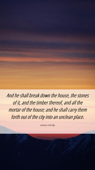 Picture 06 - Leviticus 14:45 KJV Mobile Phone Wallpaper - And he shall break down the house, the stones of - Mobile Bible Verse Wallpaper