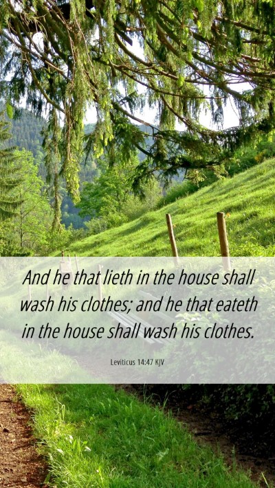 Picture 06 - Leviticus 14:47 KJV Mobile Phone Wallpaper - And he that lieth in the house shall wash his - Mobile Bible Verse Wallpaper