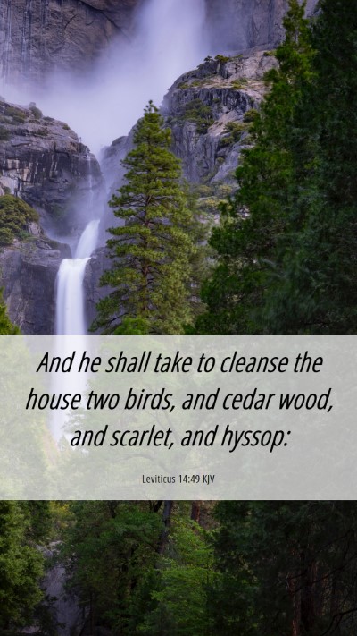 Picture 06 - Leviticus 14:49 KJV Mobile Phone Wallpaper - And he shall take to cleanse the house two birds, - Mobile Bible Verse Wallpaper