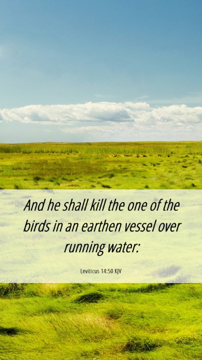 Picture 06 - Leviticus 14:50 KJV Mobile Phone Wallpaper - And he shall kill the one of the birds in an - Mobile Bible Verse Wallpaper
