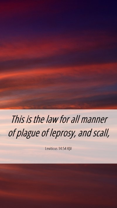 Picture 06 - Leviticus 14:54 KJV Mobile Phone Wallpaper - This is the law for all manner of plague of - Mobile Bible Verse Wallpaper
