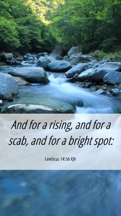 Picture 06 - Leviticus 14:56 KJV Mobile Phone Wallpaper - And for a rising, and for a scab, and for a - Mobile Bible Verse Wallpaper