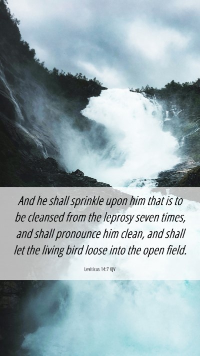 Picture 06 - Leviticus 14:7 KJV Mobile Phone Wallpaper - And he shall sprinkle upon him that is to be - Mobile Bible Verse Wallpaper
