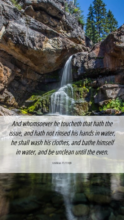 Picture 06 - Leviticus 15:11 KJV Mobile Phone Wallpaper - And whomsoever he toucheth that hath the issue, - Mobile Bible Verse Wallpaper