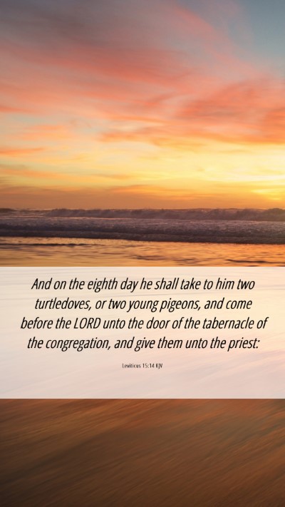 Picture 06 - Leviticus 15:14 KJV Mobile Phone Wallpaper - And on the eighth day he shall take to him two - Mobile Bible Verse Wallpaper