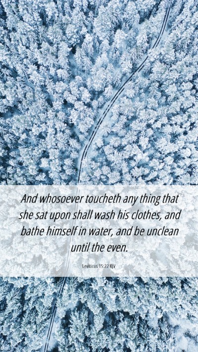 Picture 06 - Leviticus 15:22 KJV Mobile Phone Wallpaper - And whosoever toucheth any thing that she sat - Mobile Bible Verse Wallpaper
