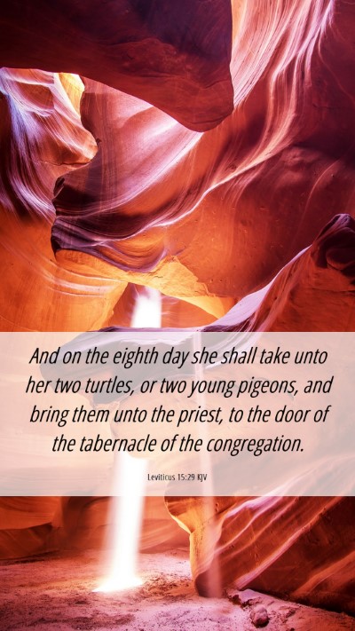 Picture 06 - Leviticus 15:29 KJV Mobile Phone Wallpaper - And on the eighth day she shall take unto her two - Mobile Bible Verse Wallpaper