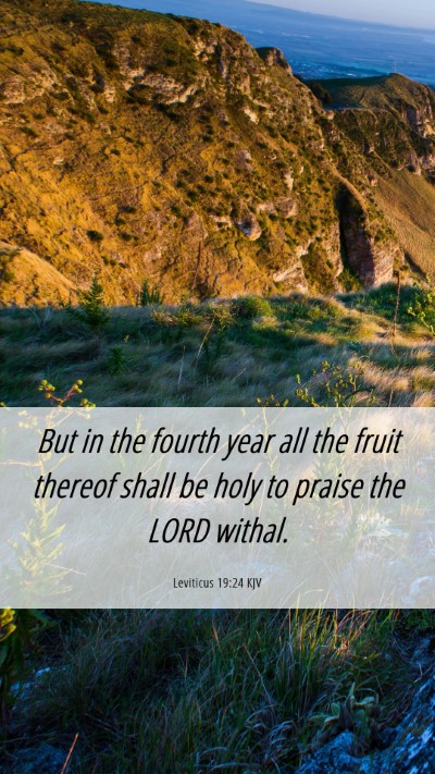 Picture 06 - Leviticus 19:24 KJV Mobile Phone Wallpaper - But in the fourth year all the fruit thereof - Mobile Bible Verse Wallpaper