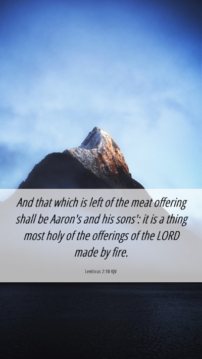 Picture 06 - Leviticus 2:10 KJV Mobile Phone Wallpaper - And that which is left of the meat offering shall - Mobile Bible Verse Wallpaper