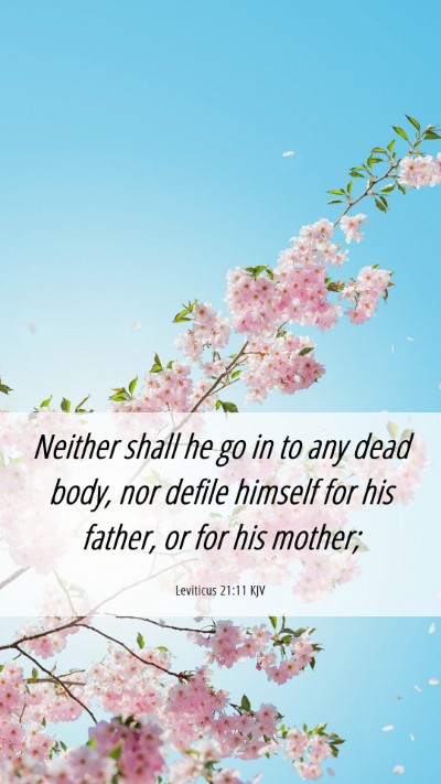 Picture 06 - Leviticus 21:11 KJV Mobile Phone Wallpaper - Neither shall he go in to any dead body, nor - Mobile Bible Verse Wallpaper
