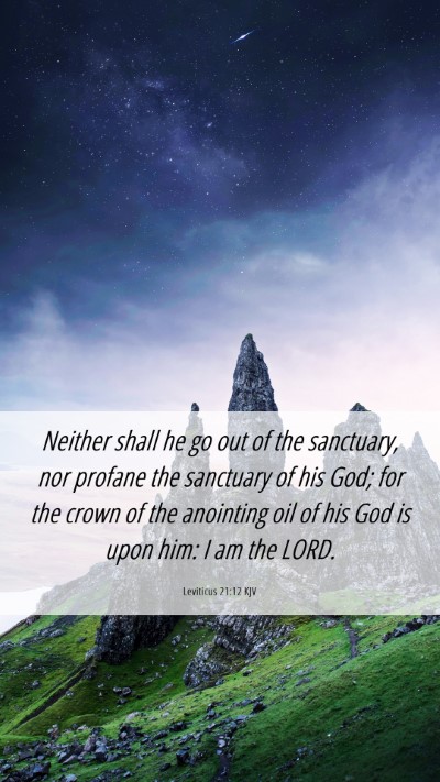Picture 06 - Leviticus 21:12 KJV Mobile Phone Wallpaper - Neither shall he go out of the sanctuary, nor - Mobile Bible Verse Wallpaper