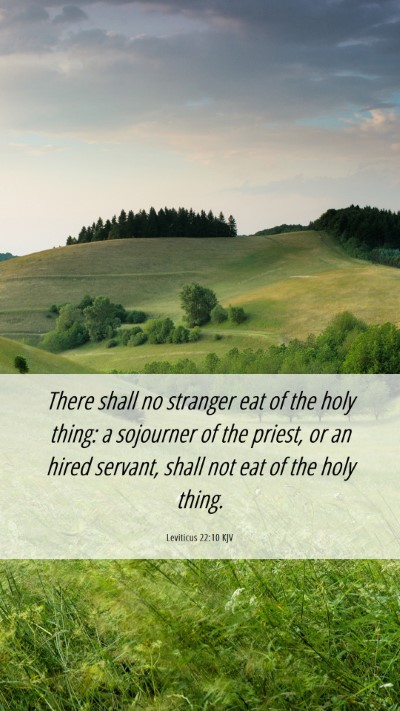 Picture 06 - Leviticus 22:10 KJV Mobile Phone Wallpaper - There shall no stranger eat of the holy thing: a - Mobile Bible Verse Wallpaper