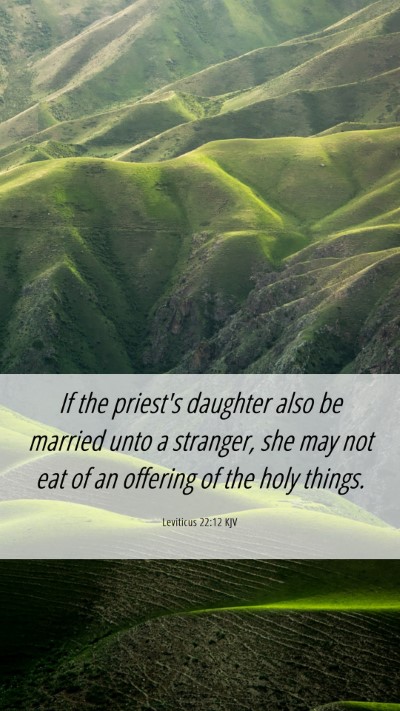 Picture 06 - Leviticus 22:12 KJV Mobile Phone Wallpaper - If the priest's daughter also be married unto a - Mobile Bible Verse Wallpaper
