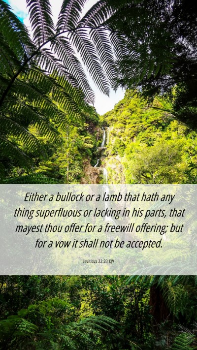Picture 06 - Leviticus 22:23 KJV Mobile Phone Wallpaper - Either a bullock or a lamb that hath any thing - Mobile Bible Verse Wallpaper