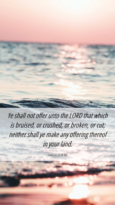 Picture 06 - Leviticus 22:24 KJV Mobile Phone Wallpaper - Ye shall not offer unto the LORD that which is - Mobile Bible Verse Wallpaper