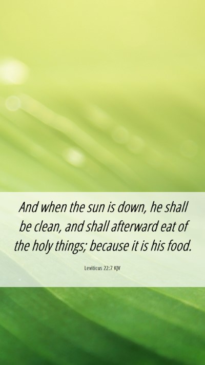 Picture 06 - Leviticus 22:7 KJV Mobile Phone Wallpaper - And when the sun is down, he shall be clean, and - Mobile Bible Verse Wallpaper