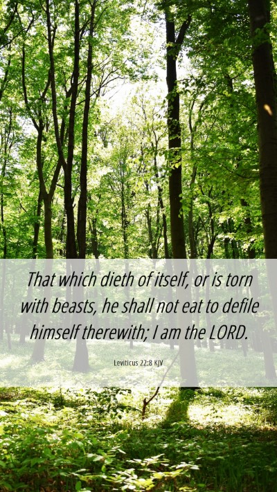 Picture 06 - Leviticus 22:8 KJV Mobile Phone Wallpaper - That which dieth of itself, or is torn with - Mobile Bible Verse Wallpaper