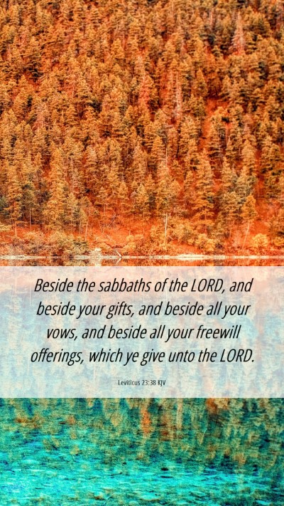 Picture 06 - Leviticus 23:38 KJV Mobile Phone Wallpaper - Beside the sabbaths of the LORD, and beside your - Mobile Bible Verse Wallpaper