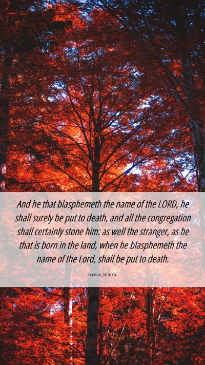 Picture 06 - Leviticus 24:16 KJV Mobile Phone Wallpaper - And he that blasphemeth the name of the LORD, he - Mobile Bible Verse Wallpaper