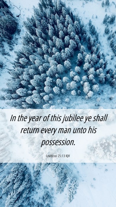 Picture 06 - Leviticus 25:13 KJV Mobile Phone Wallpaper - In the year of this jubilee ye shall return every - Mobile Bible Verse Wallpaper