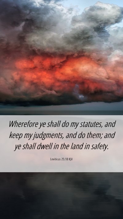 Picture 06 - Leviticus 25:18 KJV Mobile Phone Wallpaper - Wherefore ye shall do my statutes, and keep my - Mobile Bible Verse Wallpaper