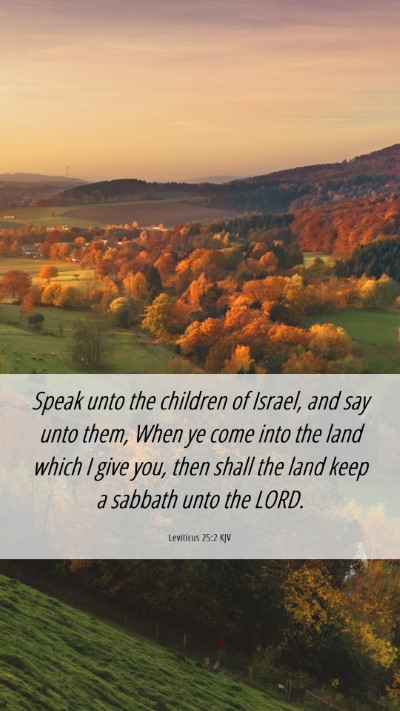 Picture 06 - Leviticus 25:2 KJV Mobile Phone Wallpaper - Speak unto the children of Israel, and say unto - Mobile Bible Verse Wallpaper