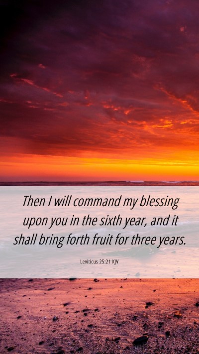 Picture 06 - Leviticus 25:21 KJV Mobile Phone Wallpaper - Then I will command my blessing upon you in the - Mobile Bible Verse Wallpaper