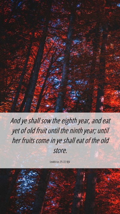 Picture 06 - Leviticus 25:22 KJV Mobile Phone Wallpaper - And ye shall sow the eighth year, and eat yet of - Mobile Bible Verse Wallpaper