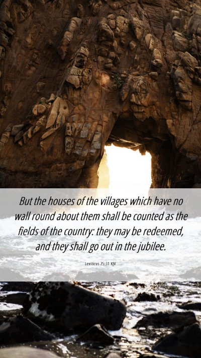 Picture 06 - Leviticus 25:31 KJV Mobile Phone Wallpaper - But the houses of the villages which have no wall - Mobile Bible Verse Wallpaper