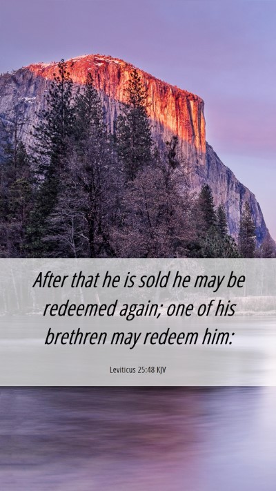 Picture 06 - Leviticus 25:48 KJV Mobile Phone Wallpaper - After that he is sold he may be redeemed again; - Mobile Bible Verse Wallpaper