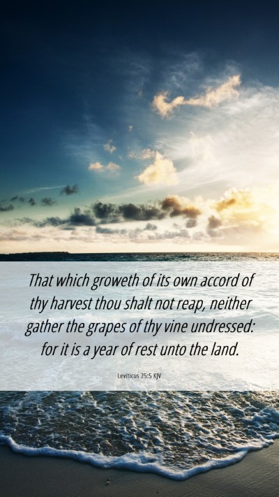 Picture 06 - Leviticus 25:5 KJV Mobile Phone Wallpaper - That which groweth of its own accord of thy - Mobile Bible Verse Wallpaper