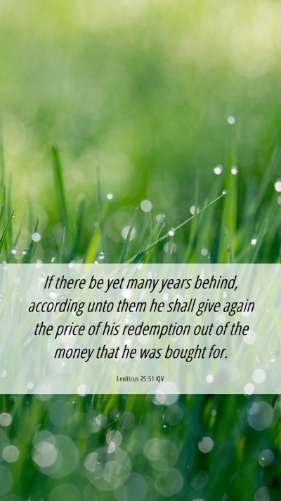 Picture 06 - Leviticus 25:51 KJV Mobile Phone Wallpaper - If there be yet many years behind, according unto - Mobile Bible Verse Wallpaper
