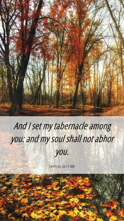Picture 06 - Leviticus 26:11 KJV Mobile Phone Wallpaper - And I set my tabernacle among you: and my soul - Mobile Bible Verse Wallpaper