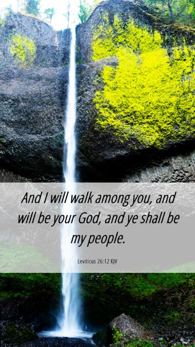 Picture 06 - Leviticus 26:12 KJV Mobile Phone Wallpaper - And I will walk among you, and will be your God, - Mobile Bible Verse Wallpaper