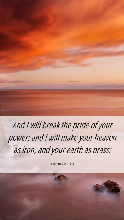 Picture 06 - Leviticus 26:19 KJV Mobile Phone Wallpaper - And I will break the pride of your power; and I - Mobile Bible Verse Wallpaper