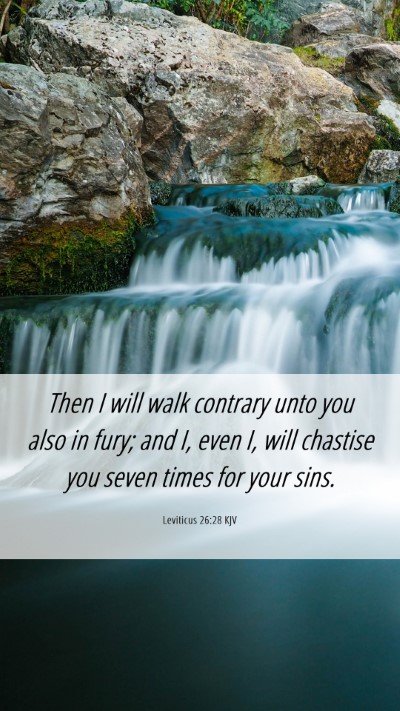 Picture 06 - Leviticus 26:28 KJV Mobile Phone Wallpaper - Then I will walk contrary unto you also in fury; - Mobile Bible Verse Wallpaper