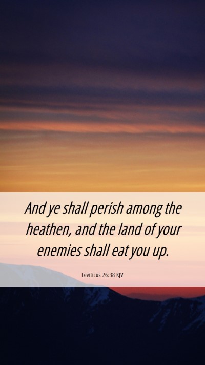 Picture 06 - Leviticus 26:38 KJV Mobile Phone Wallpaper - And ye shall perish among the heathen, and the - Mobile Bible Verse Wallpaper