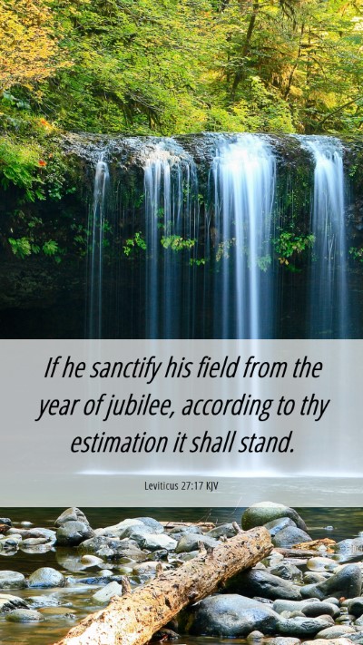 Picture 06 - Leviticus 27:17 KJV Mobile Phone Wallpaper - If he sanctify his field from the year of - Mobile Bible Verse Wallpaper