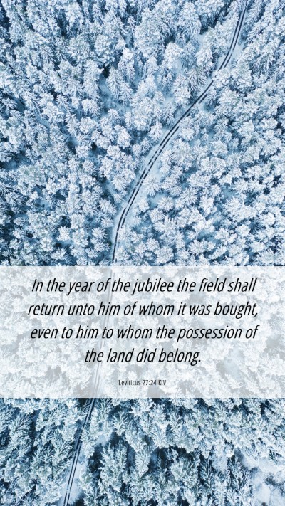 Picture 06 - Leviticus 27:24 KJV Mobile Phone Wallpaper - In the year of the jubilee the field shall return - Mobile Bible Verse Wallpaper